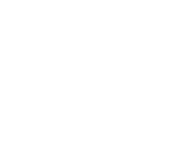 Uudenmaan RST